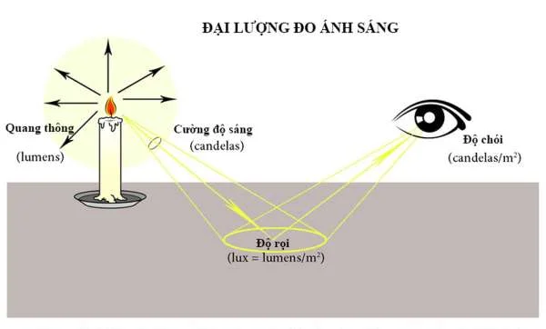 8 sự thật thú vị về quang thông đèn LED mà bạn nên biết