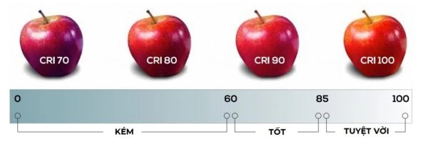 Chỉ số hoàn màu CRI càng cao càng tốt