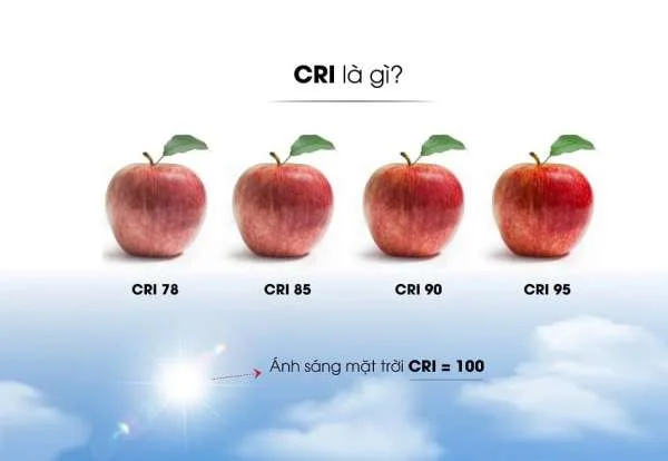 CRI là gì? 9 thông tin về CRI - chỉ số hoàn màu mà bạn nên biết