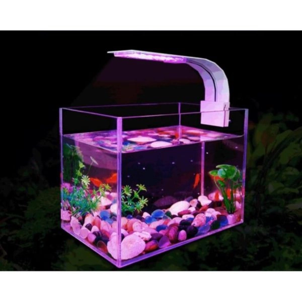 Đèn LED RGB cho hồ cá