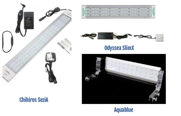 Một số mẫu đèn LED trắng thủy sinh