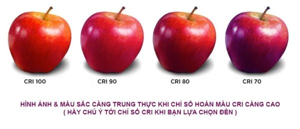 Chỉ số hoàn màu CRI